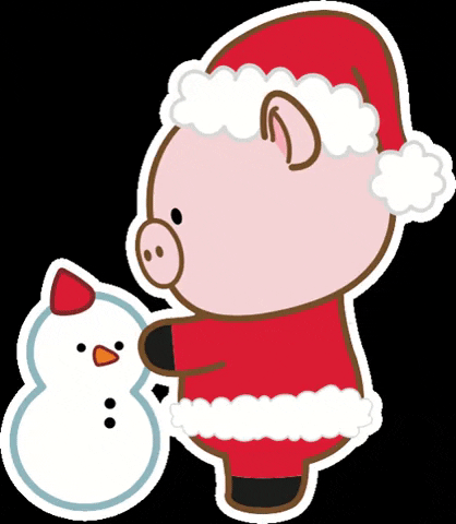Christmas Pig GIF by Miniso Canada