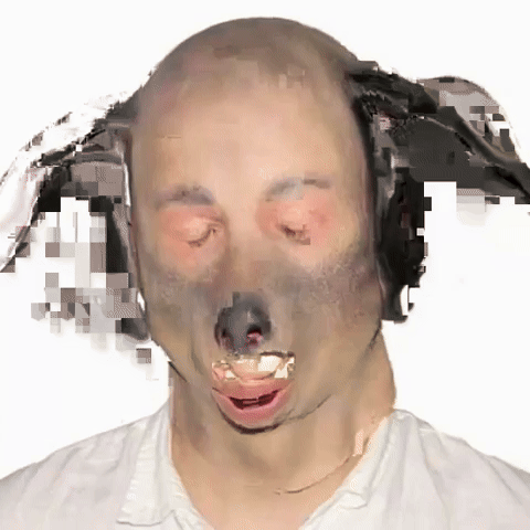 Reaction GIF