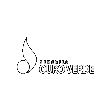 Sementes Ouro Verde Sticker