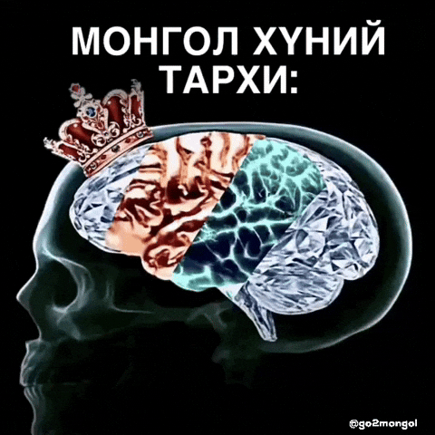 Mongolia Mongol Meme GIF