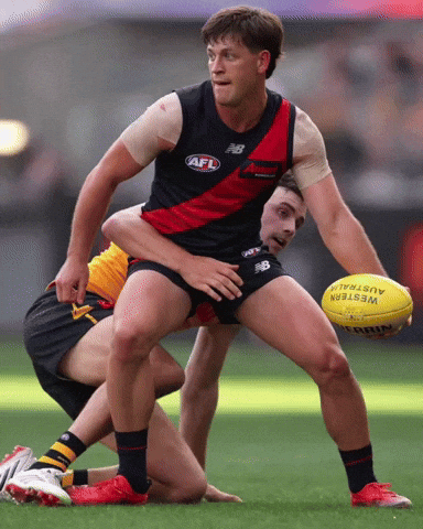 Essendon Bombers Zak Butters GIF
