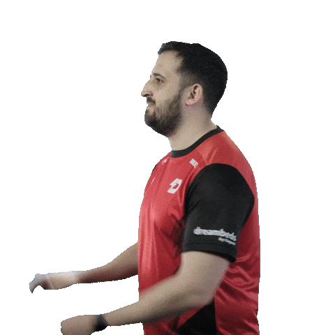 Esports Catch Sticker by Dynamo Eclot