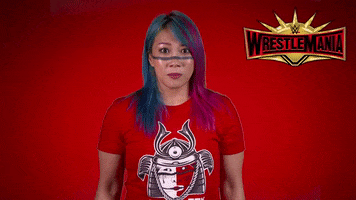 come on fighting GIF by WWE