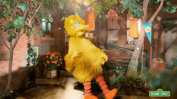 big bird happiness GIF by Sesame Street