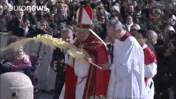 pope francis GIF by euronews