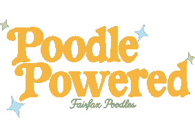 Poodle Sticker by Fairfax Poodles