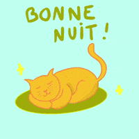 night-kitten-julietglock-5CXkyApZe1I1J1W2zj