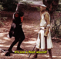 Flesh Wound GIFs - Get the best GIF on GIPHY