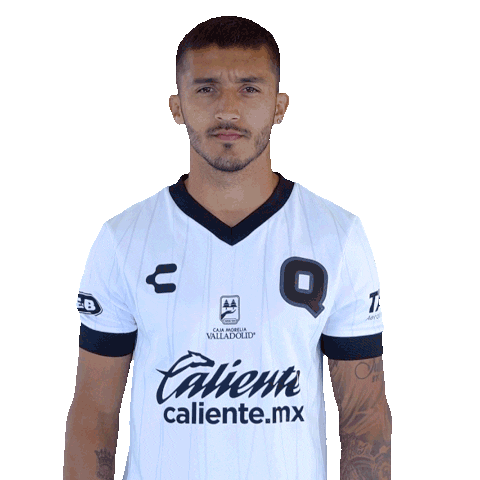 Liga Mx Gallos Sticker by Club Querétaro