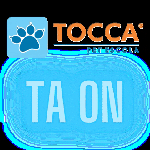 toccapetescola online tá on toccapetescola GIF