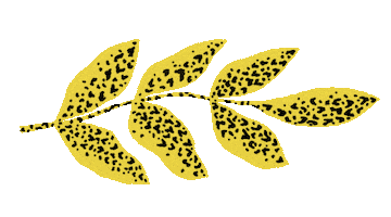 Art Design Sticker by IKEA Chile