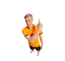 Ing Sticker by INGNederland