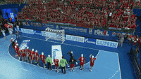 SEHA-League-sport-seha-gazprom-league-telekom-veszprem-5F78BAKs6q2oG0qhAd