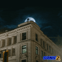 Paramount Pictures Sega GIF by Sonic The Hedgehog