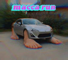Muir GIF