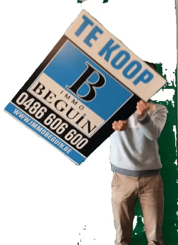 Immo Beguin GIF