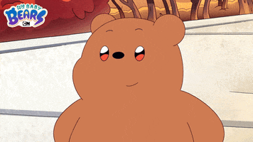 Ice Bear Bears GIF by Cartoon Network