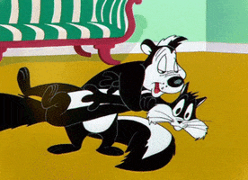 Cartoon gif. Pepé Le Pew the skunk holds a shocked and stiff black and white cat and kisses it with countless smooches. 
