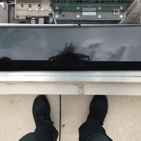 danorst  GIF