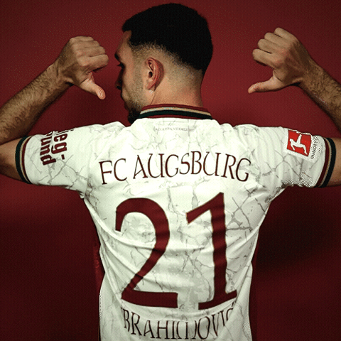 Bundesliga Ibrahimovic GIF by FC Augsburg 1907
