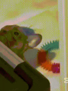 Animated GIF