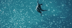 Yannis Philippakis Swimming GIF by FOALS