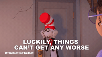 Bill Hader Cat GIF by Warner Bros. Pictures