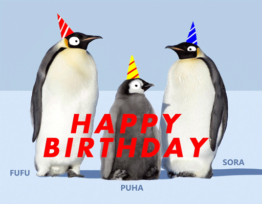 Happy-birthday-penguin GIFs - Get the best GIF on GIPHY