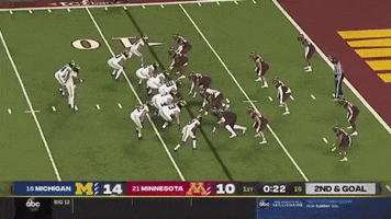 Michigan Football GIF