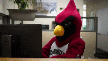 Angry College GIF by NORTHIDAHOCOLLEGE
