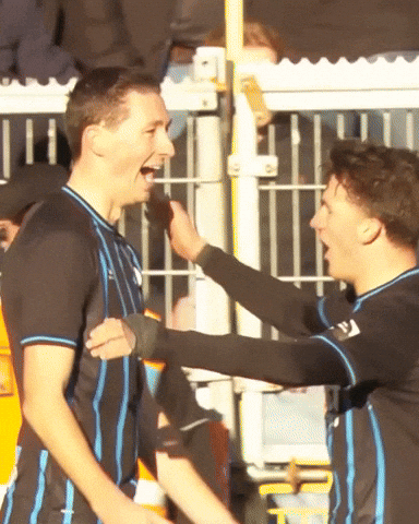 Hans Vanaken Supporters GIF by Club Brugge
