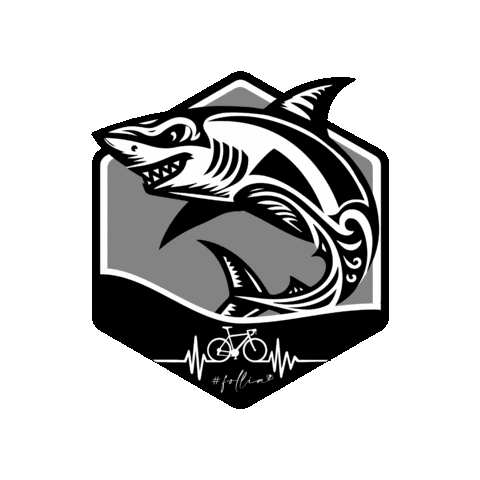 Folliasqualo Sticker by ASD Vibrata Bike