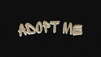 Dog Adopt GIF by HDBnQ Rescue