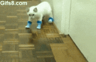 boots puss GIF
