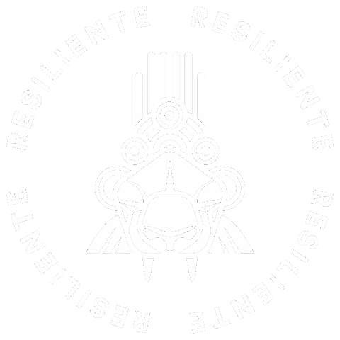 Paynalto Cycling Apparel Sticker