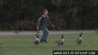 https://media2.giphy.com/media/5N9cyiQeBRXG0/giphy.gif