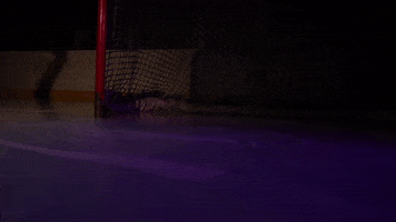 Skate GIF by Tommie Athletics