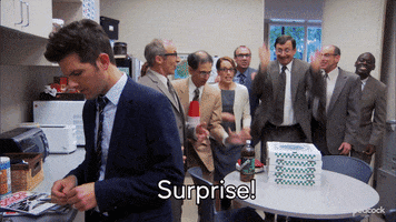 Parks And Recreation Surprise GIF by PeacockTV