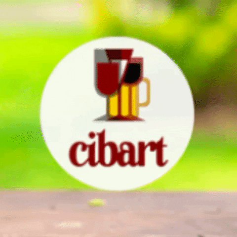 cibart srl GIF