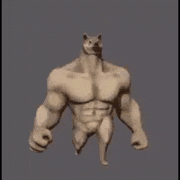 Buff Doge Gifs Get The Best Gif On Giphy