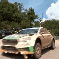 Driving Bad Luck GIF by FIA World Rally Championship
