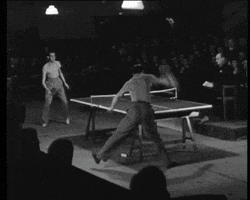 Ping Pong GIF by GIF IT UP