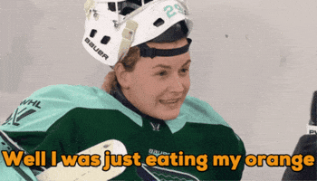 Hockey Orange GIF