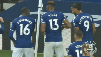 Premier League Dancing GIF by Everton Football Club