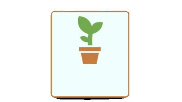 Don Plantín Sticker