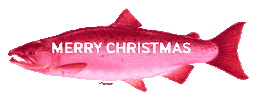 Christmas Rainbow Sticker