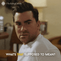 what does that mean schitts creek GIF by CBC