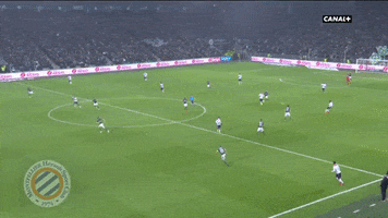 goalkeeper GIF by nss sports