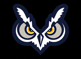 oregon tech owls GIF by Oregon Tech Athletics