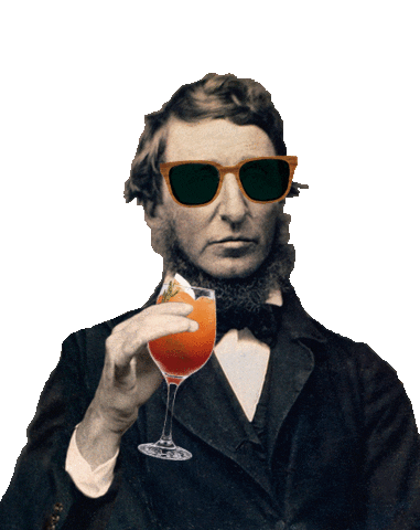 Black Rose Tom Sticker by Rosa Negra